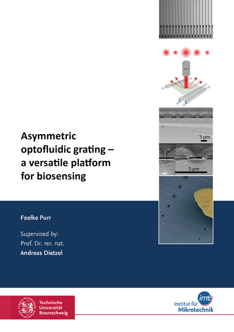 Asymmetric optofluidic grating – a versatile platform for biosensing - Foelke Purr