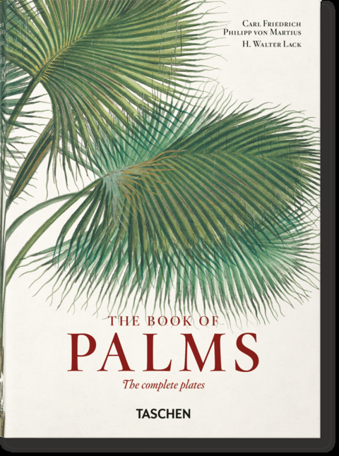 Martius. The Book of Palms. 40th Ed. - H. Walter Lack