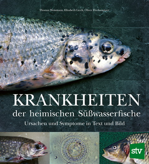 Krankheiten der heimischen Süßwasserfische - Thomas Weismann, Elisabeth Licek, Oliver Hochwartner