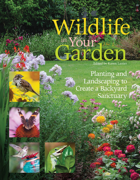 Wildlife in Your Garden - 