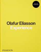 Experience - Olafur Eliasson