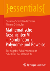 Mathematische Geschichten VI – Kombinatorik, Polynome und Beweise - Susanne Schindler-Tschirner, Werner Schindler