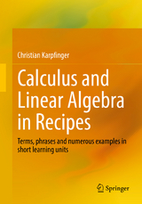 Calculus and Linear Algebra in Recipes - Christian Karpfinger
