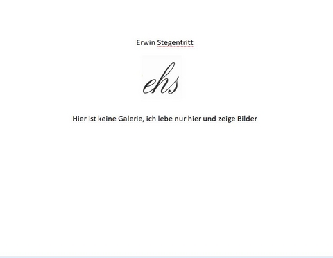 EHS - Hier ist keine Galerie - Erwin Stegentritt