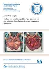 Einfluss von Low-Flow und No-Flow Ischämie auf den Ischämie-Reperfusions-Schaden am equinen Dünndarm - Anna Marei Grages