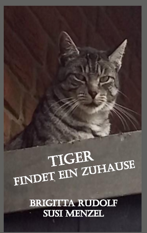 Tiger findet ein Zuhause - Brigitta Rudolf, Susi Menzel