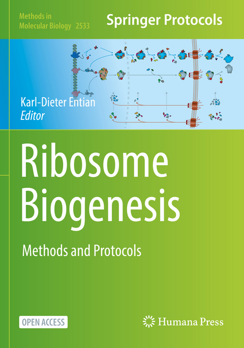 Ribosome Biogenesis - 