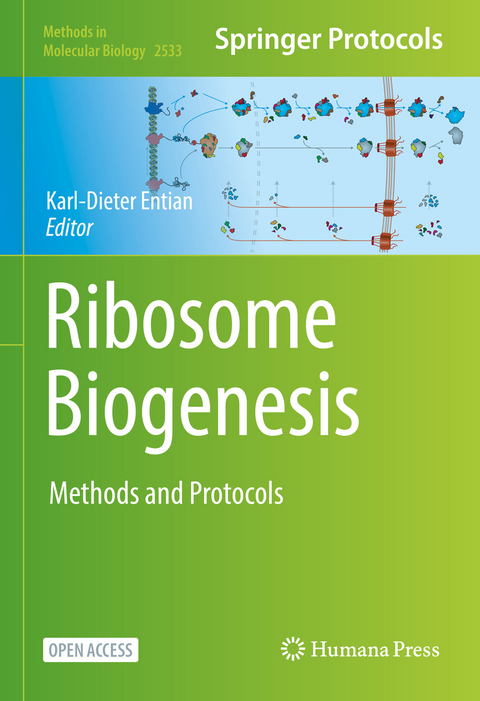 Ribosome Biogenesis - 