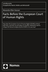 Facts Before the European Court of Human Rights - Alexandra Ellen Hansen