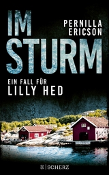 Im Sturm - Pernilla Ericson