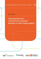 Interdependencies in infrastructure investment decisions in multi-energy systems - Daniel Then