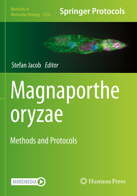 Magnaporthe oryzae - 