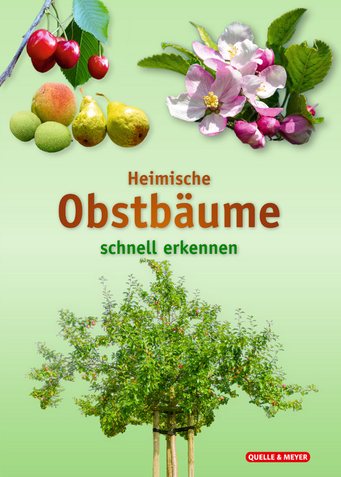 Heimische Obstbäume - 