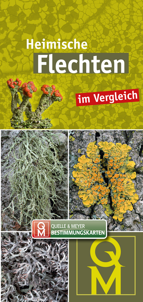 Heimische Flechten - 