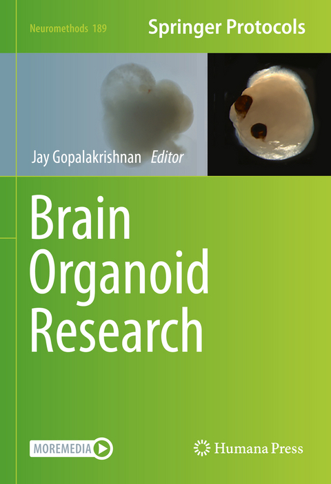 Brain Organoid Research - 