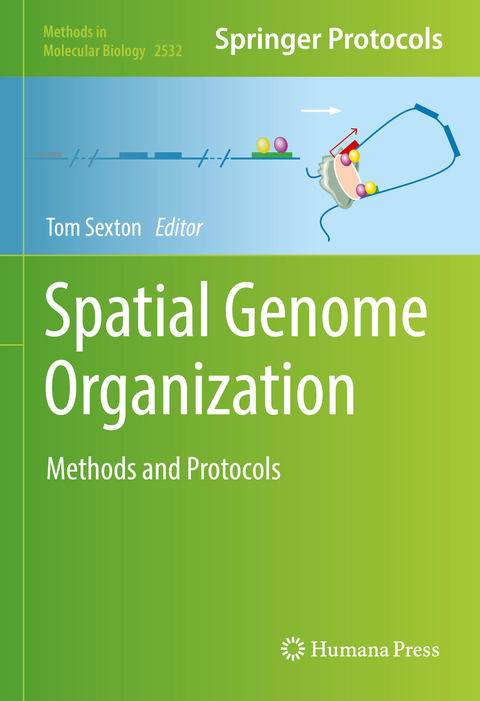 Spatial Genome Organization - 