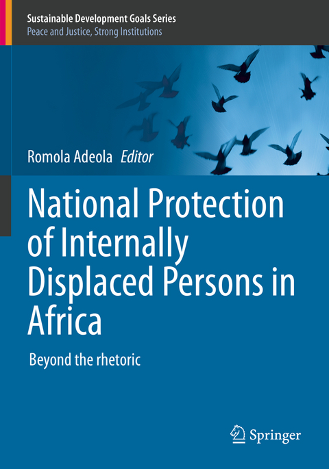 National Protection of Internally Displaced Persons in Africa - 