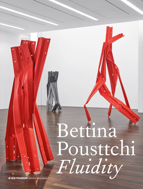 Fluidity - Bettina Pousttchi