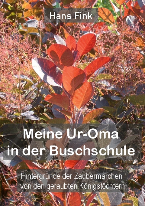 Meine Ur-Oma in der Buschschule - Hans Fink