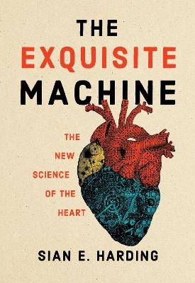 The Exquisite Machine - Sian E. Harding