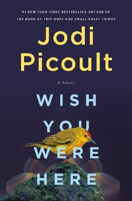 Wish You Were Here - Jodi Picoult