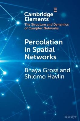 Percolation in Spatial Networks - Bnaya Gross, Shlomo Havlin