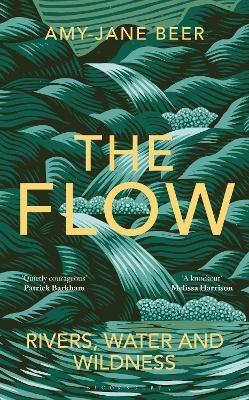 The Flow - Amy-Jane Beer