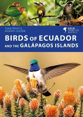 Birds of Ecuador and the Galápagos Islands - Juan Freile, Murray Cooper