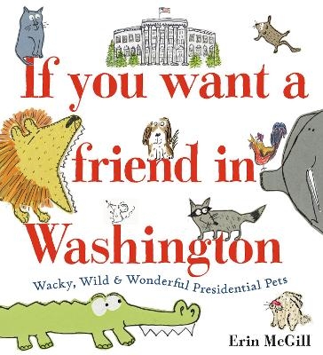 If You Want a Friend in Washington - Erin McGill