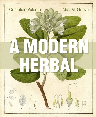 A Modern Herbal - Margaret Grieve