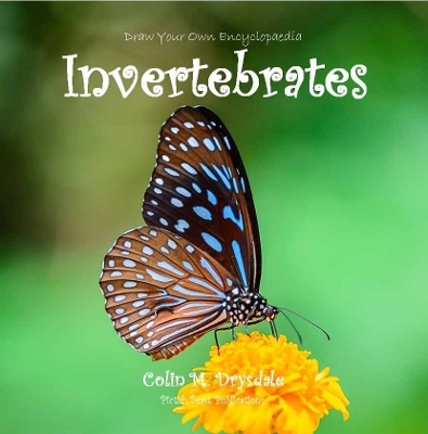 Draw Your Own Encyclopaedia Invertebrates - Colin M Drysdale