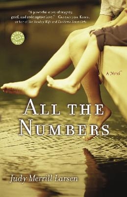 All the Numbers - Judy Larsen