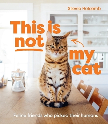 This is not my cat - Stevie Holcomb