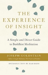 The Experience of Insight - Goldstein, Joseph