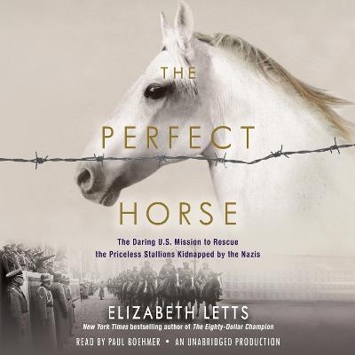 The Perfect Horse - Elizabeth Letts
