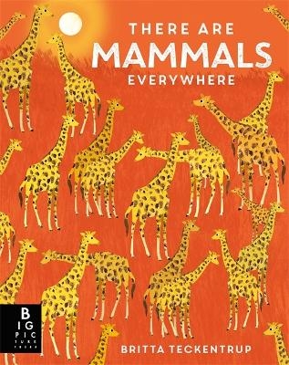 There are Mammals Everywhere - Camilla de la Bedoyere
