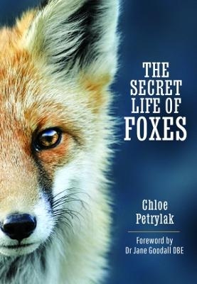 The Secret Life of Foxes - Chloe Petrylak
