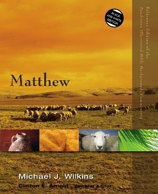 Matthew - Michael J. Wilkins