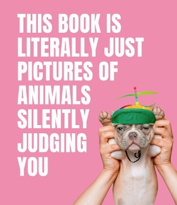 This Book is Literally Just Pictures of Animals Silently Judging You -  Smith Street Books