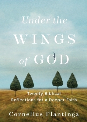 Under the Wings of God – Twenty Biblical Reflections for a Deeper Faith - Cornelius Plantinga