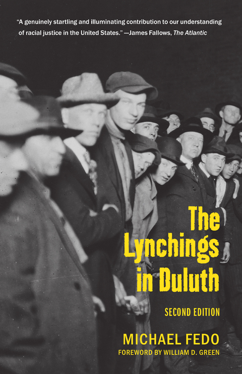 The Lynchings in Duluth - Michael Fedo