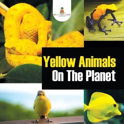 Yellow Animals On The Planet -  Baby Professor