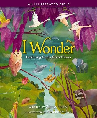 I Wonder: Exploring God's Grand Story - Glenys Nellist