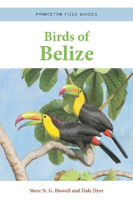 Birds of Belize - Steve N. G. Howell, Dale Dyer
