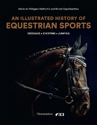 An Illustrated History of Equestrian Sports - Marie de Pellegar, Benoît Capdebarthes