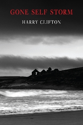 Gone Self Storm - Harry Clifton