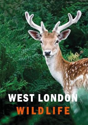 West London Wildlife - Ian Alexander, Susanne Masters
