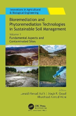 Bioremediation and Phytoremediation Technologies in Sustainable Soil Management - 