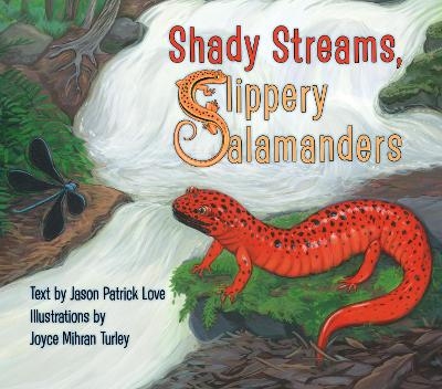 Shady Streams, Slippery Salamanders - Jason Patrick Love