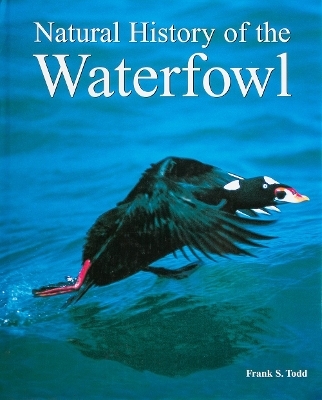 Natural History of the Waterfowl - Frank Todd